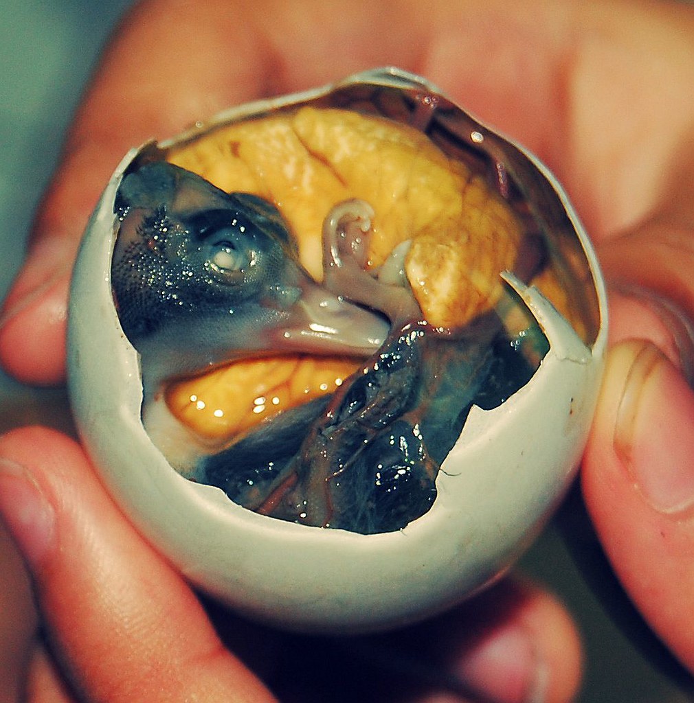 FilipinoStreetFood balut duck egg